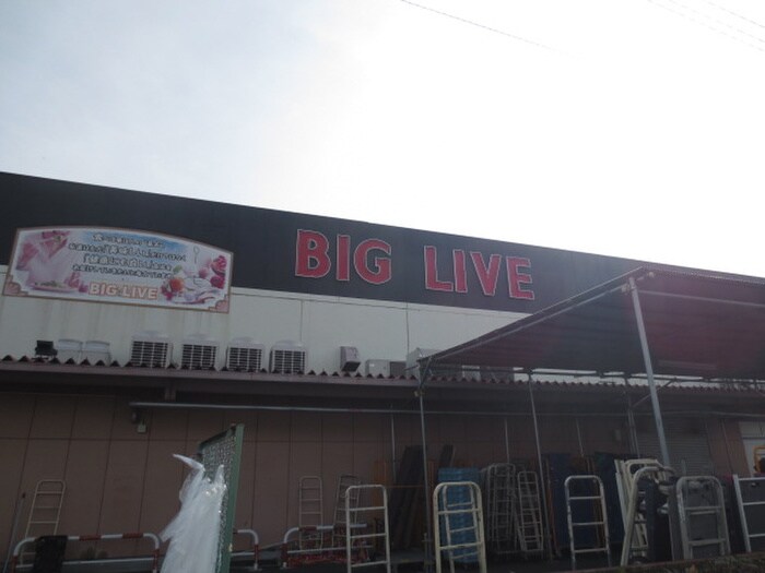 BIG LIVE(スーパー)まで1100m サ－プラスワン光