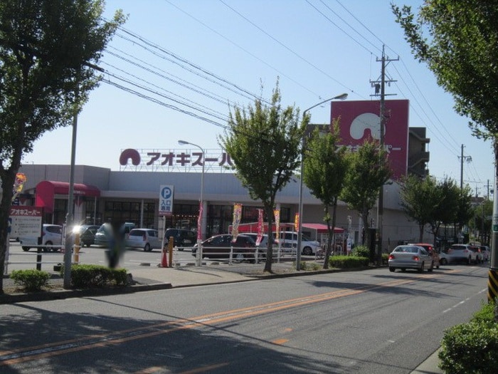 アオキスーパー(スーパー)まで1020m アンプルールリーブルレ・ソール