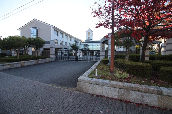 童子山小学校(小学校)まで1100m ハイムＳ・Ｓ