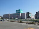 ニトリ(電気量販店/ホームセンター)まで1330m ESPERANZA