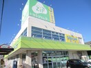 Ｚｉｐドラッグ白沢呼続店(ドラッグストア)まで120m サニーハイツⅠ