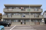 シャイニー35