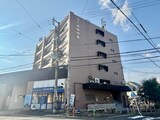 コーポゆの木