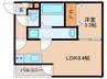 Katze志賀本通 1LDKの間取り