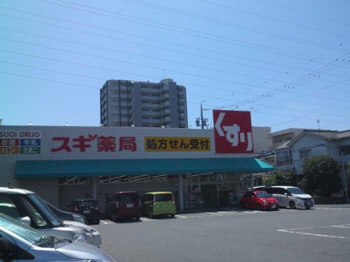 スギ薬局砂美店(ドラッグストア)まで713m アクシア　ケイ