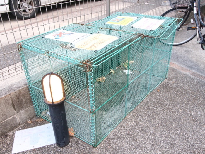 その他 プランタン白金
