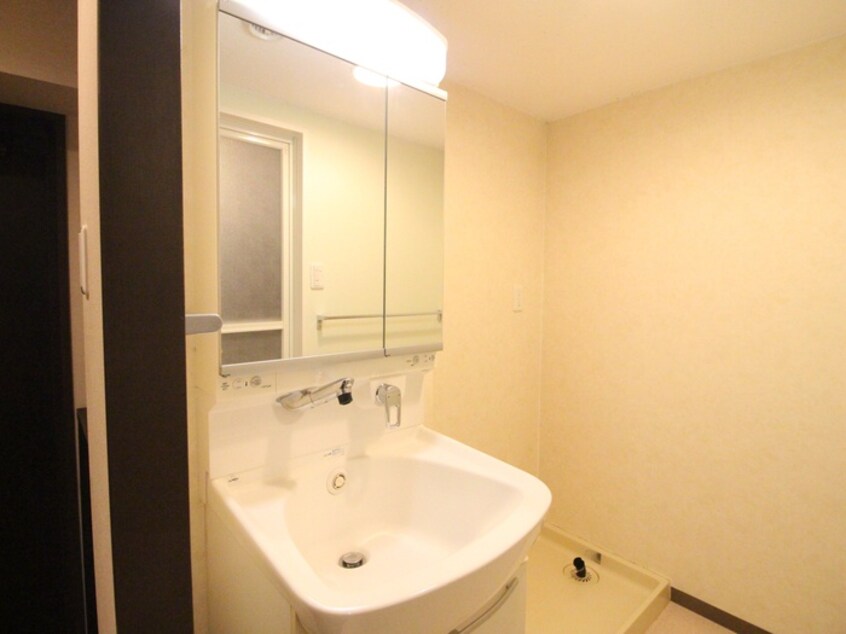 洗面 ハウスアベニュー