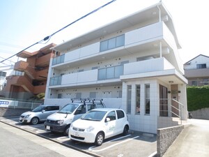 ヴィブレフクハラ