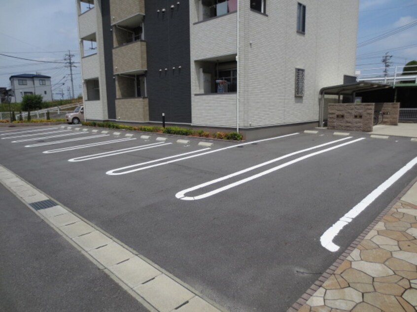 駐車場 サクラ