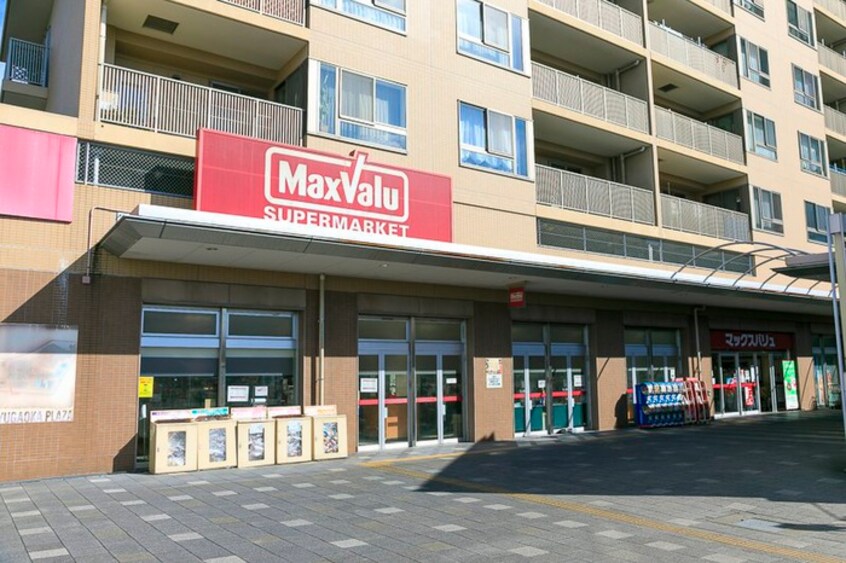 マックスバリュー(スーパー)まで1200m 池上住宅(205)