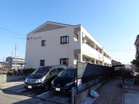 ダイアンサス８１