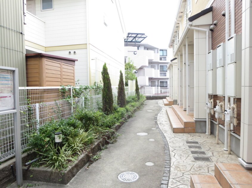 エントランス部分 ハレレア