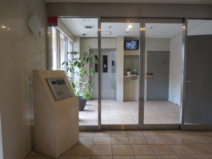 その他 グレイス泉