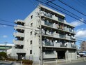 完成写真