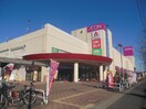 イオン(スーパー)まで797m ヴァンベール元郷