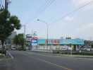 ドラッグスギヤマ西山台店(ドラッグストア)まで530m アーバン牧の原