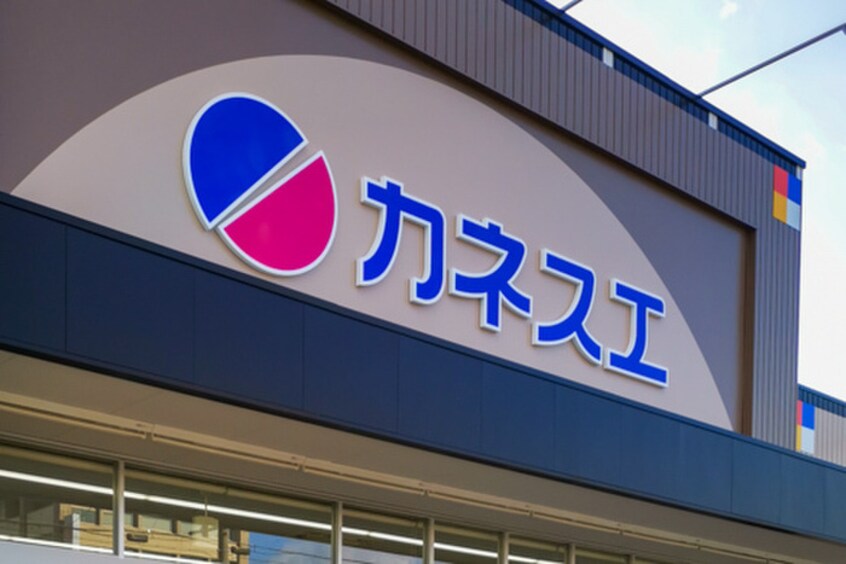 カネスエ(スーパー)まで1100m REGA INAZAWA