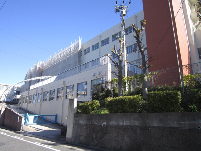 菊住小学校(小学校)まで192m Casa ciruela