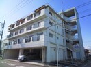 中郷ハイツの外観