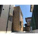 成叶の外観