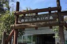 白山ふれあいのもり(公園)まで300m ファミール大福寺