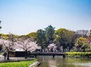 名城公園(公園)まで700m Ｙｓ Ｓｑｕａｒｅ名城公園