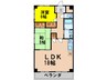 メゾン白川 2LDKの間取り