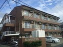 完成写真