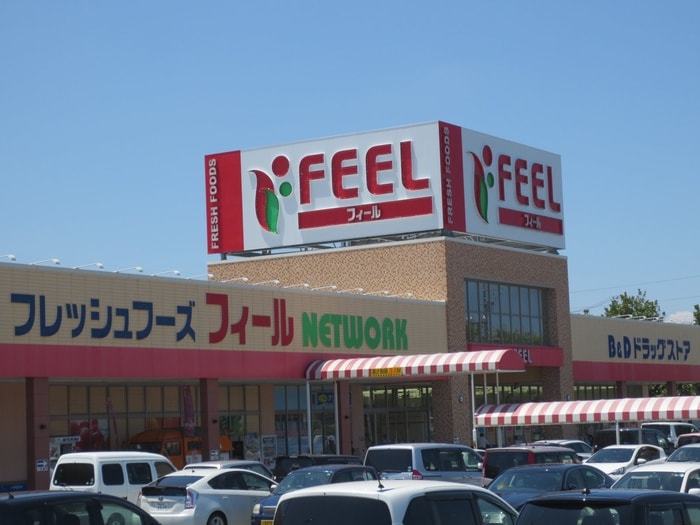 ＦＥＥＬ　ネットワーク店(スーパー)まで120m アムール丸山