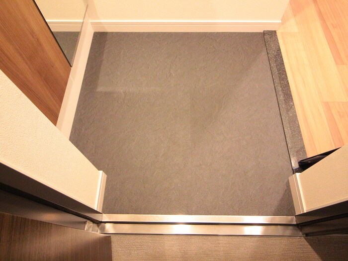 玄関 ﾌﾟﾚｻﾝｽ丸の内ﾘﾗﾃｨ(801)