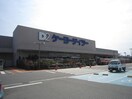 ケーヨーデイツー(電気量販店/ホームセンター)まで1100m アム－ルショシュ－ル