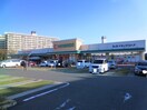 平和堂豊成店(スーパー)まで1190m キューブ黄金