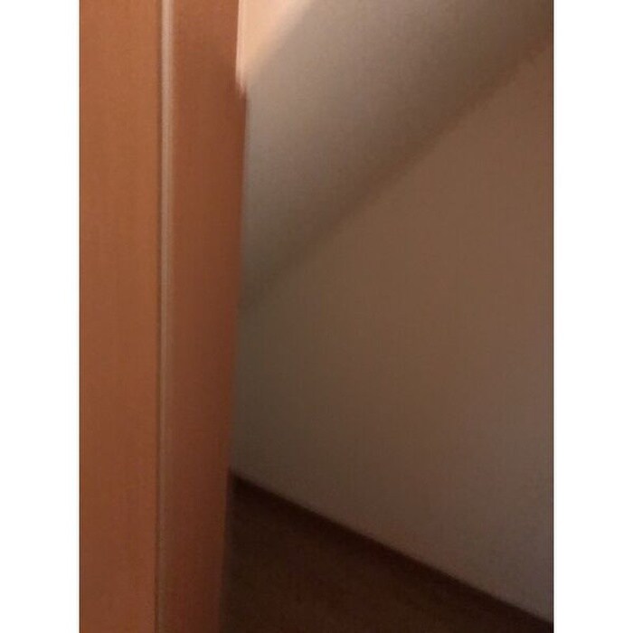 収納 ルミエール甚目寺