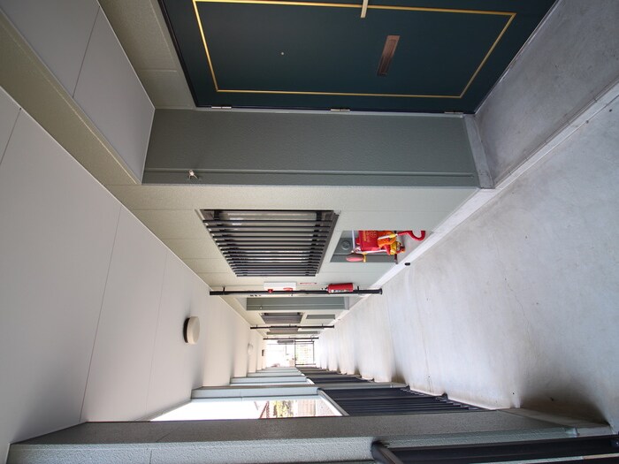 エントランス部分 カ－サタカバⅡ