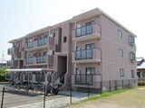 パラシオイトウ