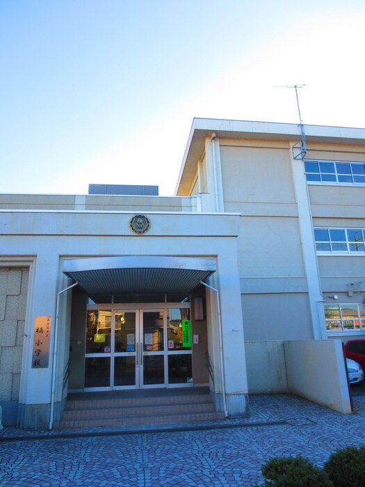 楠小学校(小学校)まで607m パストラル楠