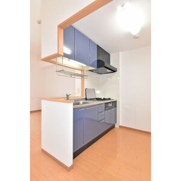 居室 Gramercy Shirakawa Koen