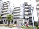 完成写真