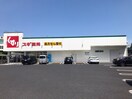 スギ薬局 新林店(ドラッグストア)まで273m シェリールミニ　Ａ棟