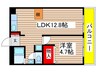 フィレンツェ栄 1LDKの間取り