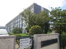 末広小学校(小学校)まで165m リヴェール末広Ⅱ