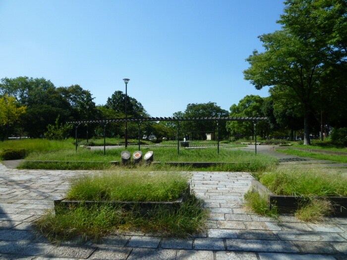 五町公園(公園)まで390m サニーサイドハウス