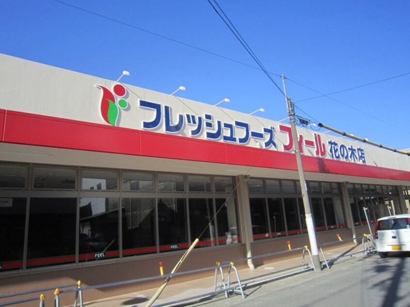 フィール(スーパー)まで544m マ・ピエスＥⅢ