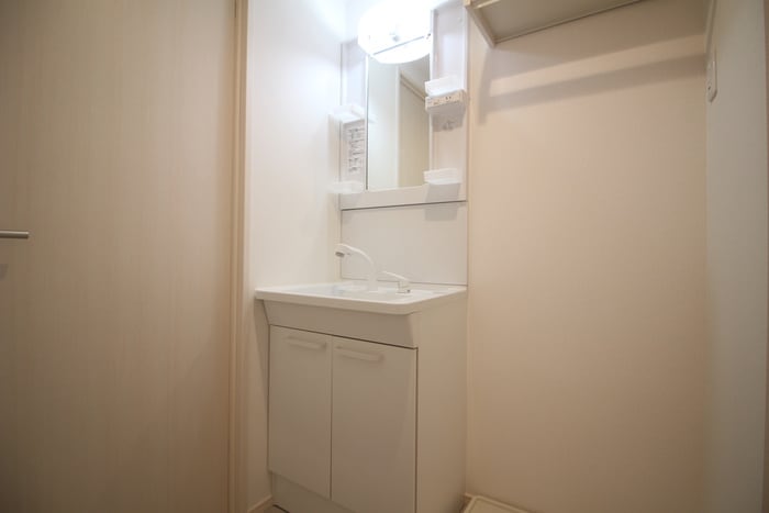 洗面 リブリ・プルミエール豊田