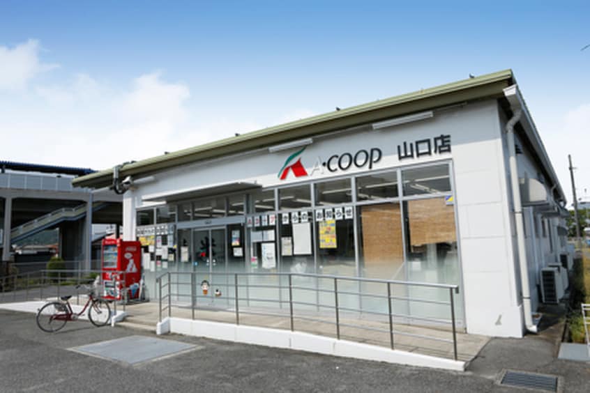 JAあいち(スーパー)まで1010m ル・レーヴ