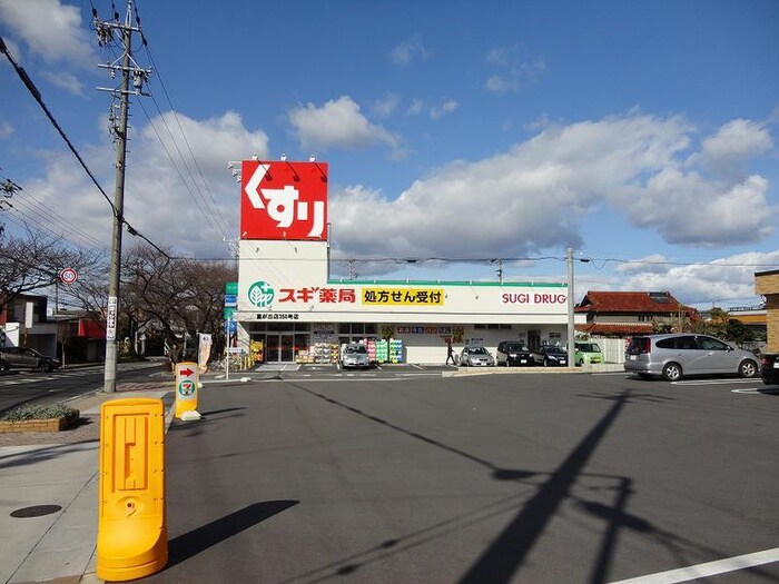 スギ薬局富が丘店(ドラッグストア)まで170m ２階建庭付貸家