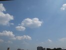 室内からの展望 メリ－コ－ト