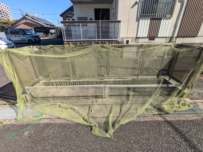 その他 グレイシャス