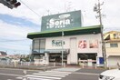 セリア甚目寺店(100均)まで1200m メゾン　フィオーレⅡ