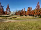 平和公園(公園)まで690m 鍋屋上野住宅９号棟(306)